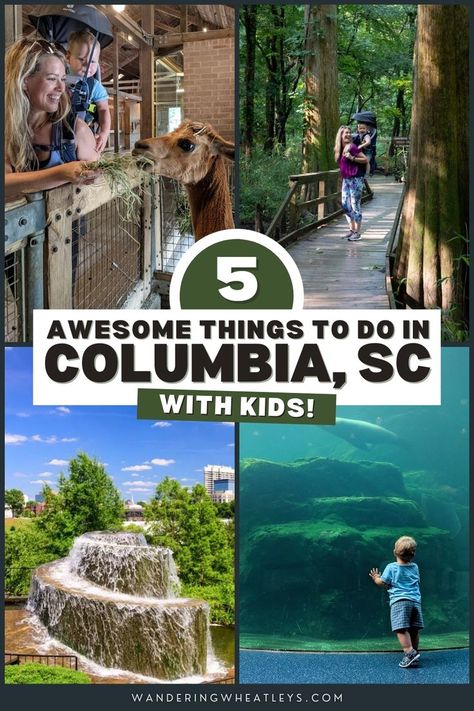 Planning a South Carolina family vacation? Discover the 5 best things to do in Columbia, South Carolina with kids, from museums to parks in Columbia! I what to do with kids in Columbia I family activities in Columbia I things to do with kids in South Carolina I things to do in South Carolina I what to do in South Carolina I places to go in South Carolina I USA travel I South Carolina attractions I activities in Columbia I where to go in South Carolina I #Columbia #SouthCarolina #familytravel South Carolina Family Vacation, South Carolina Things To Do, Columbia South Carolina Things To Do, Things To Do In Columbia Sc, Columbia Sc Things To Do In, Things To Do In South Carolina, Charleston Hotels, Congaree National Park, South Carolina Vacation