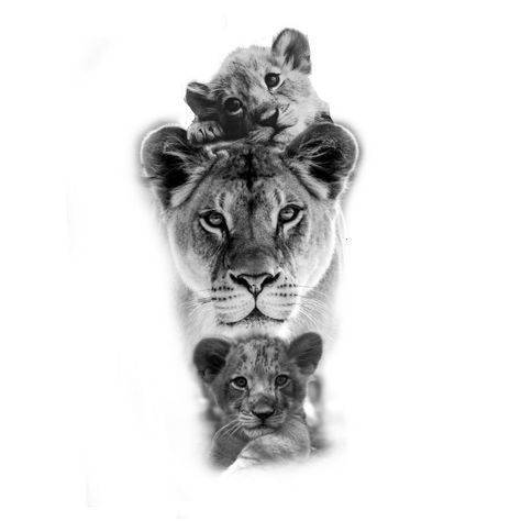 Lioness With Cubs Tattoo Design, Lioness And Cubs Tattoo Design, Baby Cubs Tattoo, Lioness And Two Cubs Tattoo, Lion Cubs Tattoo Design, Lioness And Cubs Tattoo For Women, Lion And Cubs Tattoo For Women, Lioness Drawing Tattoo Ideas, Lion Family Tattoo For Women