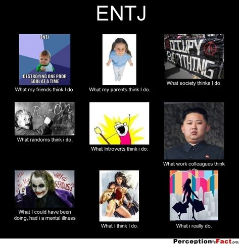 Perception / Fact - What People Think I Do | Personality Cafe Entj Women, Entj Personality, Different Personality Types, Introverted Thinking, Personality Profile, Intj Personality, Inappropriate Thoughts, Myers Briggs Personality Types, Google Image Search