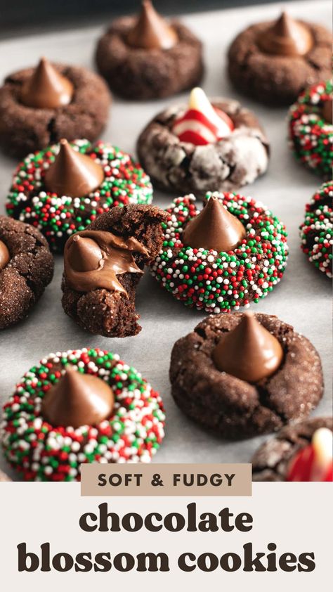 These chocolate blossom cookies are an easy twist on classic peanut butter blossoms but for chocolate lovers! They're soft and fudgy chocolate cookies with Hershey's kisses pressed into the middle. They're the easiest holiday cookies you'll make. #holidaycookies #blossomcookies #cookies | teakandthyme.com Chocolate Peanut Butter Blossoms, Chocolate Blossom Cookies, Soft Chocolate Cookies, Peanut Butter Blossoms Recipe, Soft Chocolate Cookie, Easy Holiday Cookies, Butter Blossoms, Plain Cookies, Blossom Cookies