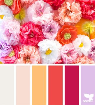 Design Seeds Color Palette, Seeds Color Palette, Design Seed, Seeds Color, Flora Design, Spring Color Palette, Design Seeds, Spring Color, Color Balance