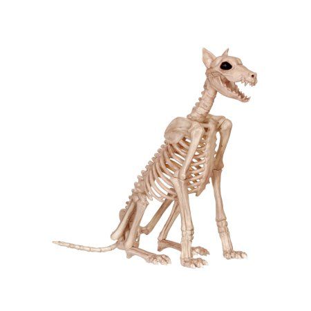 Doberman Skeleton, Dog Skeleton Halloween, Scary Decor, Skeleton Dog, Haunted House Diy, Halloween Skeleton Decorations, Dog Skeleton, Scary Decorations, Skeleton Decorations