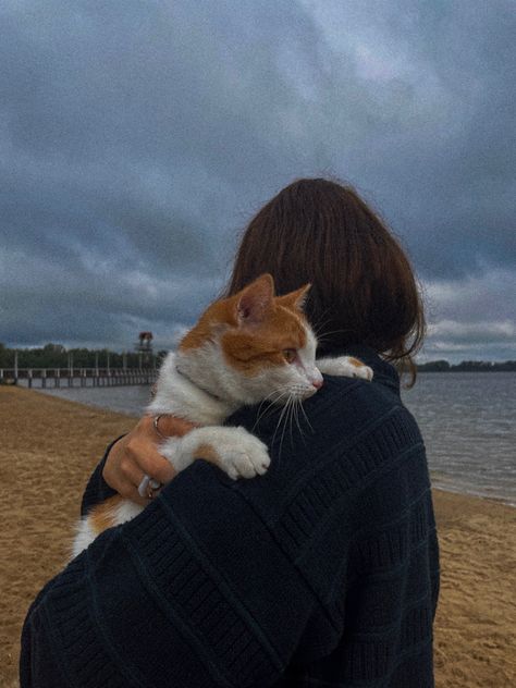 cute cat Cat Aesthetic Cute, Instagram Profile Pic, Face Pictures, Cozy Autumn, Aesthetic Cute, Cat People, Cat Aesthetic, Autumn Cozy, Cat Photo