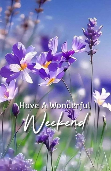 Good Morning Happy Weekend, Gd Mrng, Saturday Greetings, Greetings For The Day, Weekend Images, Weekend Greetings, Happy Day Quotes, Good Morning Saturday, Happy Weekend Quotes