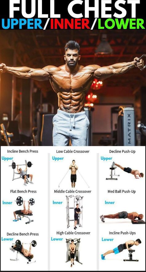 Best Chest Workout Routine, Workout Techniques, Best Chest Exercises, Workout Chest, Chest Workout For Men, Chest Workout Routine, Workout Man, Exercise Workouts, Bodybuilding Program