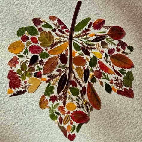 Pressed flower art tiny autumn leaves Art Made From Nature, Autumn Eyfs Activities, Fall Leaves Decor, Fall Leaves Art, Collage Autumn, Leaves Collage, Diy Seasonal Decor, Fall Leaf Decor, Autumn Leaves Craft