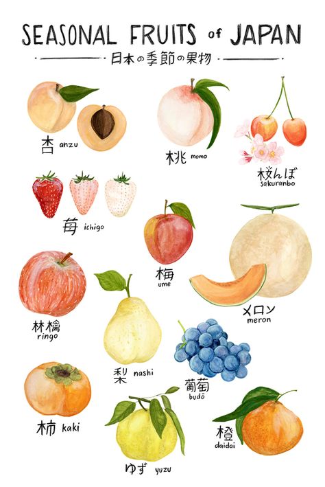 Seasonal Fruits of Japan at ArtfullyWalls, A botanical illustration featuring a selection of seasonal fruits available in Japan, labeled in kanji (with English pronunciation) Bahasa Jepun, Materi Bahasa Jepang, Japanese Language Lessons, Seasonal Fruits, Learn Japanese Words, Japanese Phrases, Japanese Language Learning, Japanese Words, Learn Japanese