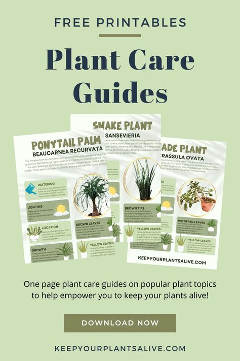 Plant Care Cards Free, Plant Care Guide Printable, Plant Care Printable, Printable Plant Care Cards, House Plant Care Guide, Free Plant Printables, Plant Care Cards, Pitcher Plant Care, Rosemary Plant Care