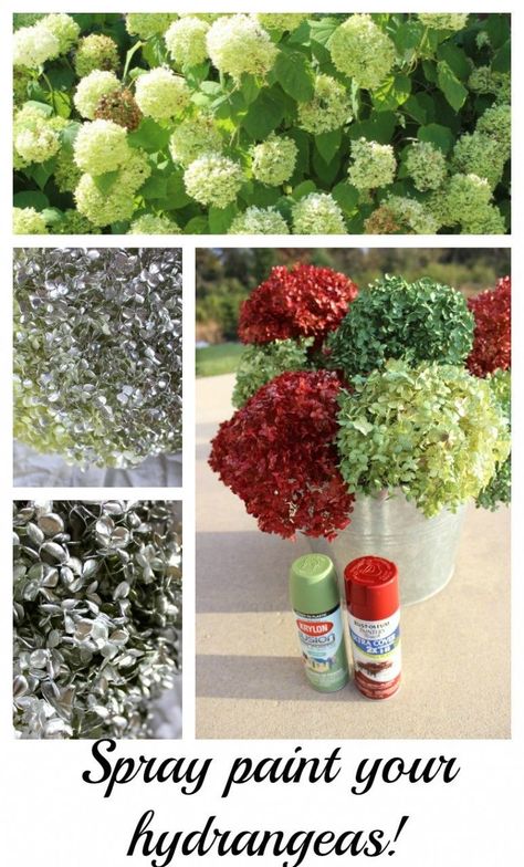 Spray paint hydrangeas. Use any color you want. After three years, mine still look great! Paint Hydrangeas, Spray Paint Flowers, Old Fashioned Oatmeal, Dried Hydrangeas, Spray Paint Cans, Diy Gardening, Hydrangea Wreath, Decorating Themes, Hydrangea Flower