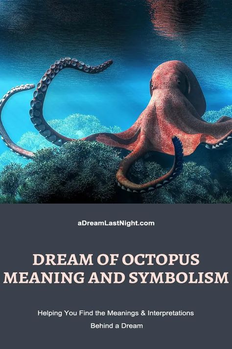 9 Types of Octopus Dreams; Meaning and Symbolism Octopus Symbolism, Octopus Meaning, Types Of Octopus, Octopus Facts, Bulging Eyes, Red Octopus, Dream Meanings, Symbols And Meanings, Dream Interpretation