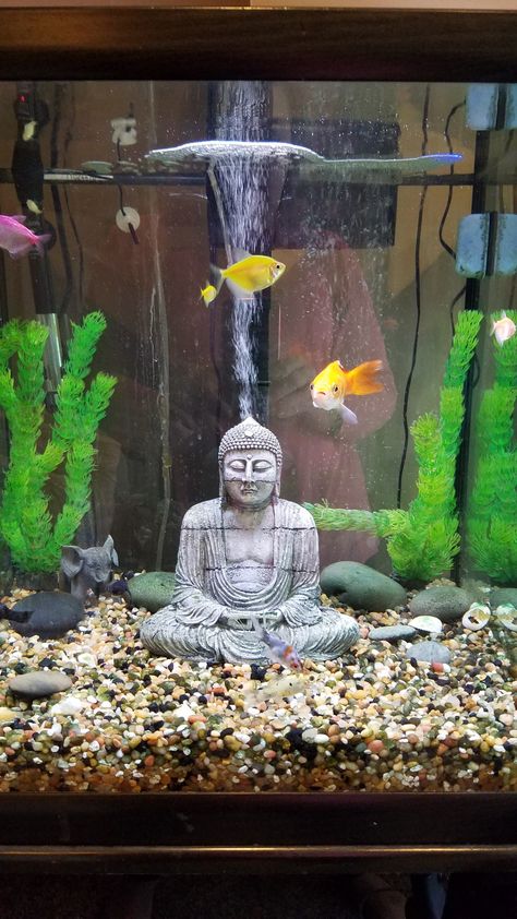 Buddha Aquarium Decor Buddha Fish Tank Ideas, Buddha Aquarium, Bamboo Beta Fish Tank, Asian Inspired Fish Tank, Fish Tank Crystals, Buddah Theme Fish Tank, Aquarium Decor, Fish Tanks, Pet Stuff