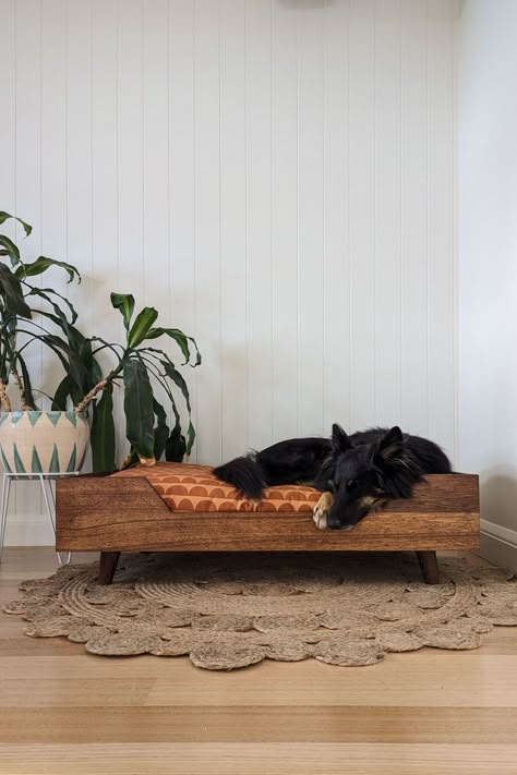 Living Room With Dog Bed, Living Room With Dog Beds, Wood Dog Beds, Mcm Dog Bed, Custom Dog Bed, Dog Space In Bedroom, Mid Century Dog Bed, Aesthetic Dog Crate Ideas, Living Room With Dogs