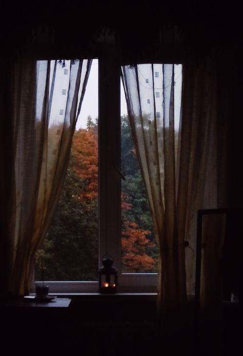 Window Autumn, Forest Window, Room Inspo Decor, Cozy Environment, Fall Windows, Dark & Stormy, Window Photography, Fall Evening, Art Research