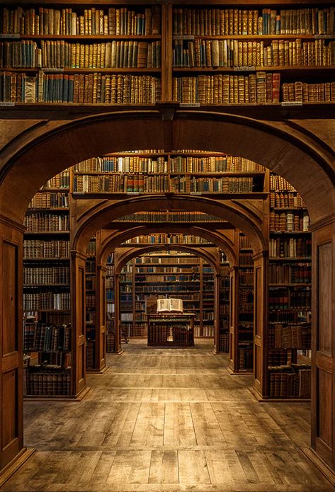 Library Hall, Historic Library, School Backdrop, Hall School, Lots Of Books, Dream Library, Beautiful Library, Old Library, Library Aesthetic