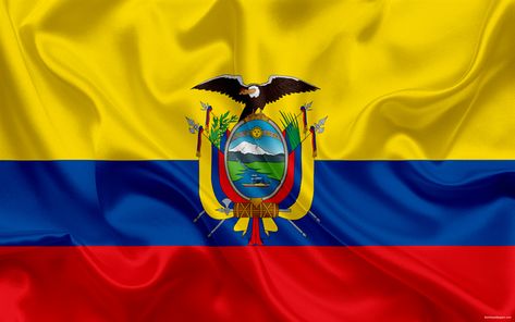 Download wallpapers Ecuadorian flag, Ecuador, South America, flag of Ecuador, national flag, silk Equador Flag, American Flag Facts, Flag Of Ecuador, Ecuadorian Flag, South America Flag, Ecuador Flag, Cuenca Ecuador, Lion Photography, Quito Ecuador