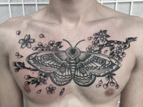 Moth Tattoo Men Cherry Blossum Background Work Men Moth Tattoo, Flower Tattoo Chest, Moth Chest Tattoos For Women, Moth Tattoo Men, Moth Chest Tattoo, Moth Torso Tattoo, Masculine Moth Tattoo, Men’s Moth Tattoo, Tattoo Chest