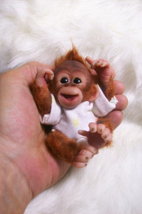 Adorable Adorable Monkeys, Cute Animals Monkey, Girl Monkey, Finger Monkey Baby, Reborn Monkey, Monkey Breeds, Cute Baby Monkey, Monkey Doll, Baby Orangutan