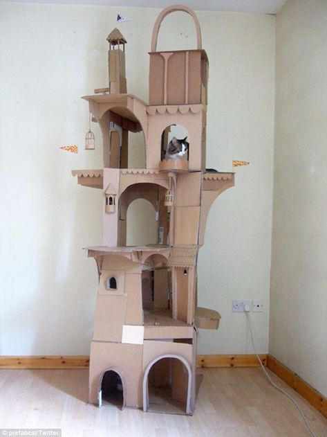 Elaborate: The design, made entirely out of cardboard, stretched towards the ceiling and gave Dinni plenty of places to sit Cardboard Cat House Ideas, Cat House Diy Cardboard, Diy Cat Tower, Katt Diy, Kat Diy, Chat Diy, Cardboard Cat House, Cardboard Castle, Cat Castle