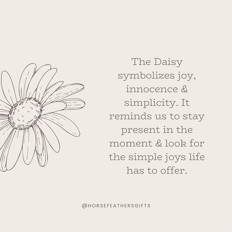 Daisy Quotes Simple, Daisy Symbolism, Daisy Meaning, Symbolic Flowers, Daisy Quotes, Realization Quotes, Flower Symbolism, Minimalistic Wallpaper, Present In The Moment