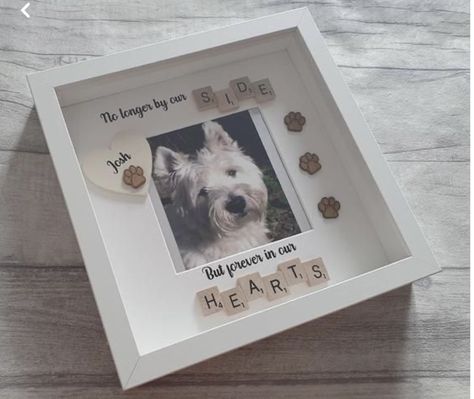 Pawprints Left By You, Pet Memorial Ideas Dogs, Dog Shadow Box, Pet Memorial Frames, Scrabble Frame, Scrabble Art, Pet Remembrance, Personalized Pet Memorial, Picture Boxes