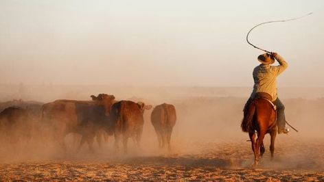 Sir Sidney Kidman cattle stations in outback Australia for sale Cattle Station, Art Sources, Station Photography, Cobblestone Path, Australian Landscapes, Cowgirl Life, Australian Farm, Desert Aesthetic, Country Vibes