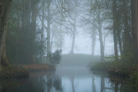 Mysterious Landscape, Foggy Landscape, Foggy Garden, Foggy Aesthetic, Foggy Garden Aesthetic, Foggy Places, Pond Aesthetic Dark, Forest Pond Aesthetic, Foggy Swamp