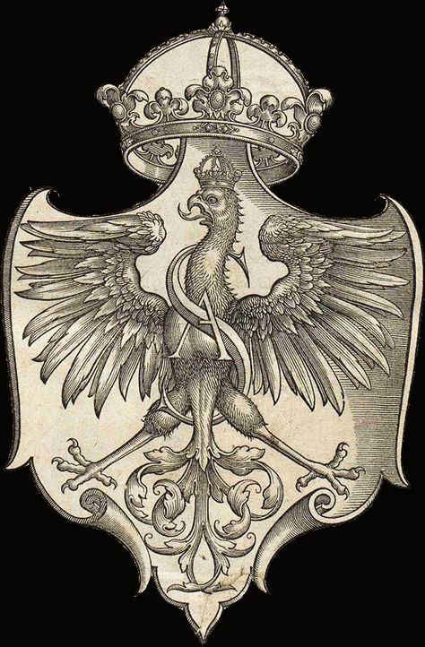 Polski Orzeł Biały z XVI Behance Polish Eagle Tattoo, Polish Symbols, Nonprofit Design, Polish Hussars, Polish Tattoos, Poland Culture, Polish Winged Hussars, Polish Eagle, Poland History