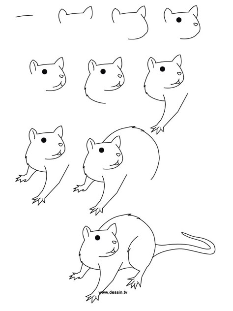 step by step drawing animals | learn how to draw a rat with simple step by step instructions How To Draw A Rat Step By Step, How To Draw A Mouse Step By Step, How To Draw Rats, How To Draw Rat, Rat Drawings Simple, How To Draw A Rat, Rattus Rattus, Realistic Animal Drawings, Easy Animal Drawings