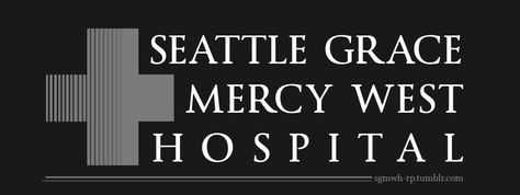 Seattle Grace-Mercy West Hospital (season 6-8) Seattle Grace Hospital, Mark Sloan, Pink Drinks, Greys Anatomy, Anatomy, Seattle, Grey, Grey's Anatomy