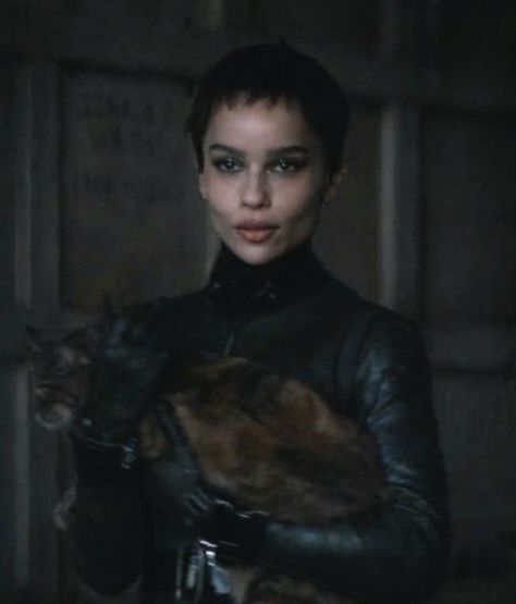 Selina Kyle Catwoman, Catwoman Selina Kyle, Cat Woman, Selina Kyle, Zoe Kravitz, Catwoman, Log In, Log, Leather