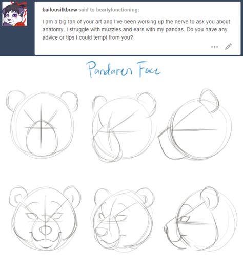 Bear Reference, Bear Character Design, Drawing Advice, Anatomy References, Panda Drawing, Waffle Fries, Animal Drawings Sketches, Bear Drawing, Drawing Examples