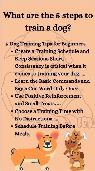 what are the 5 a steps to train a dog?... Brain Games For Dogs, Train A Dog, Positive Dog Training, Mom Pride, Easiest Dogs To Train, House Training Dogs, Potty Training Puppy, Notes Ideas, Dog Brain