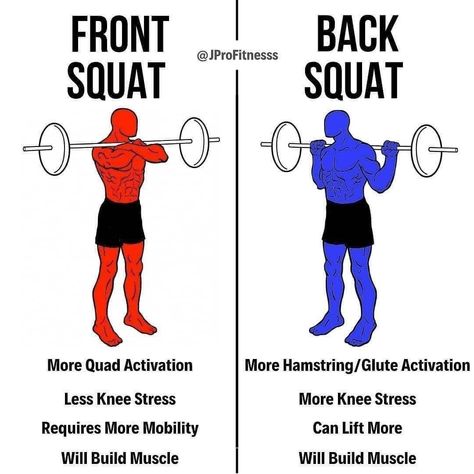 @scientificallyshredded on Instagram: “🏋🏻‍♂️ FRONT VS BACK SQUAT🏋🏻‍♂️ 🔥Follow @scientificallyshredded for more daily fitness tips!💪 . Credits: @jprofitnesss . . Squatting is one…” Back Squat, Gym Workout Guide, Glute Activation, Workout Training Programs, Back Squats, Front Squat, Abs And Cardio Workout, Martial Arts Workout, Weight Training Workouts