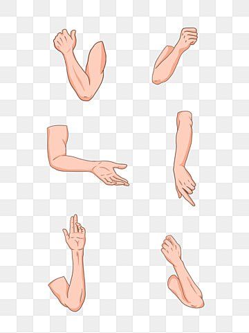 Arm Animation, 2d Animation Characters, Animated Hands, Cartoon Arms, Body Animation, Character Hands, Character For Animation, Transparent Character, Hand Animation