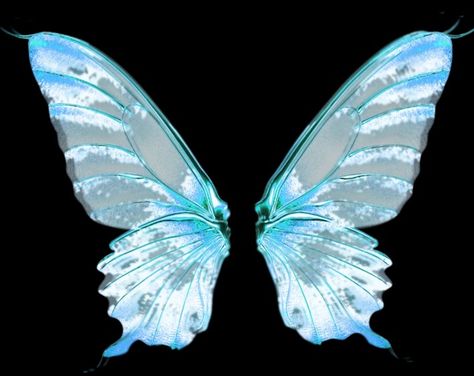 Image about aesthetic in ◜editing stuff by 𝗖𝗜𝗔𝗡𝗡𝗔 Editing Material, Graphic Portfolio, Overlays Picsart, Wings Art, Fairy Wings, Ethereal Art, Interstellar, Butterfly Wings, Blue Aesthetic