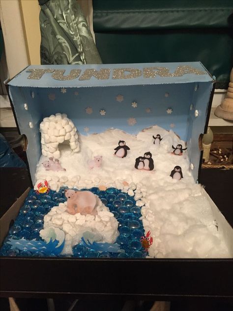 Biome Diorama, Animal Diorama, Ecosystems Diorama, Tundra Biome, Rainforest Crafts, Penguins Project, Biomes Project, Diorama Project, Diorama Kids