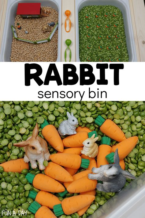 Rabbits Theme Preschool, Preschool Rabbit Activities, Sensory Bins Animals, Rabbit Sensory Bin, Bunny Sensory Bin, Pet Themed Sensory Bin, Pets Sensory Bin, Pets Theme For Toddlers, Pet Sensory Bin Preschool