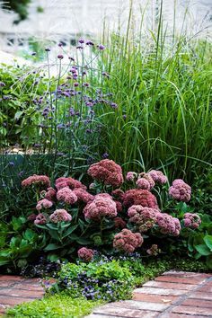 Australian Garden Design, Australian House, Australian Native Garden, Dry Garden, House Gardens, Australian Garden, Have Inspiration, Garden Show, Native Garden