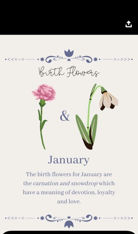 Flowers Symbolism, Meaning Flowers, January Flower, Flower Symbolism, Birthday Month Flowers, January Birth Flower, January Birth Flowers, Botanical Sketchbook, April Flowers