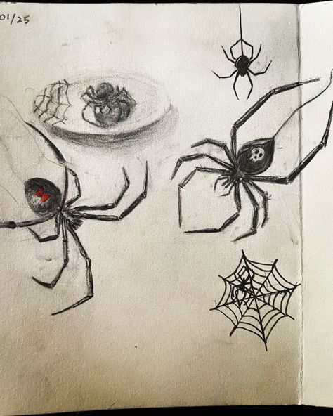 Goth Pencil Drawings, Spiderweb Sketchbook Page, Spider Sketch Easy, Easy Goth Drawings, Spiderweb Sketch, Spiderweb Drawings, Spider Painting, Spider Drawing, Pumpkin Drawing