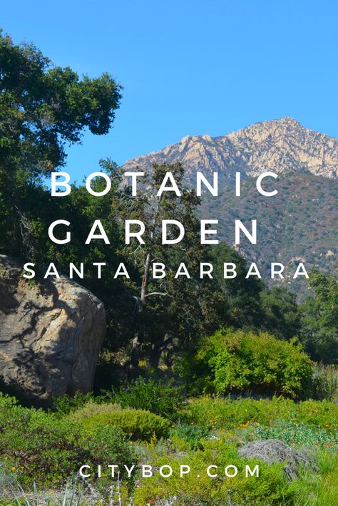 Santa Barbara Botanic Garden, Canyon Road, Botanic Garden, Ocean Views, Maternity Shoot, The Meadows, Pregnancy Shoot, Beach Fun, Travel Itinerary