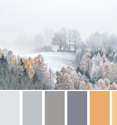 Muted Winter Color Palette, January Colour Palette, Winter Color Pallet, January Colors, Calm Color Palette, Winter Palette, Christmas Color Palette, Winter Color Palette, House Color Palettes