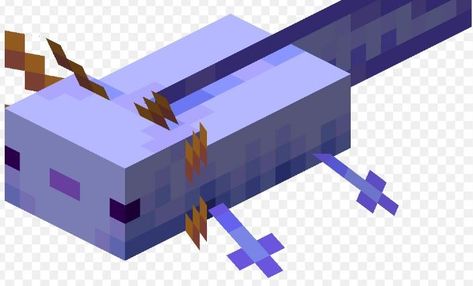 The rarest axolotls are the blue axolotls. The command is: /summon axolotl ~ ~ ~ minecraft:entity_born 💙 Axolotl Builds Minecraft, Axolotl Enclosure Minecraft, Minecraft Axolotl Drawing, Blue Axolotl Minecraft, Minecraft Axalotal, Minecraft Axolotl Build, Minecraft Axolotl Cake, Axolotl Statue Minecraft, Axolotl Minecraft