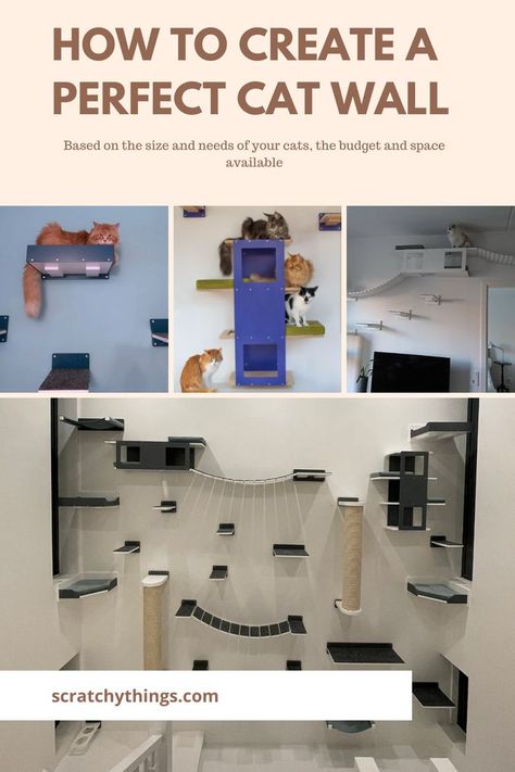 A guide how to pick the right cat furniture for your home and cat's needs Diy Cat Wall Ideas With Crates, Cat Wall Layout, Cat Wall Boxes Diy, Cat Wall Shelves Design, Cat Room For Multiple Cats, Homemade Cat Wall Shelves, Cat Course On Wall, Cat Shelves Ideas, Cat Wall Shelves Living Room