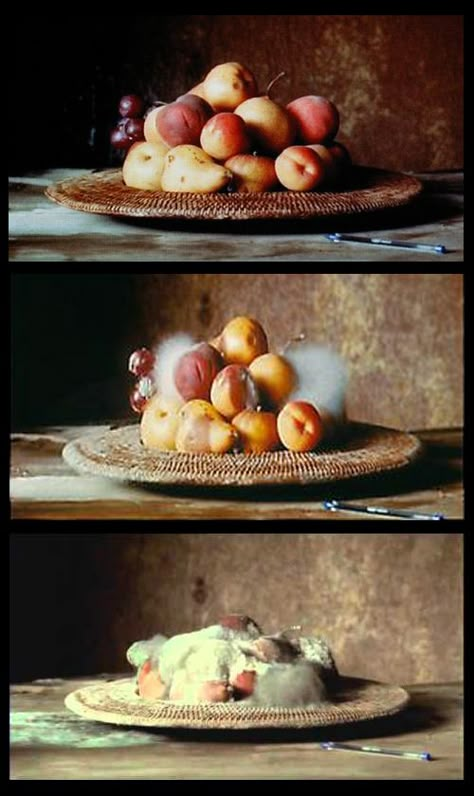 Sam Taylor Wood Still Life Fruit Photography Ideas, Sam Taylor Wood, Vanitas Still Life, Decay Photography, Decay Art, Sam Taylor Johnson, Simple Meditation, Advanced Higher Art, Rotten Fruit