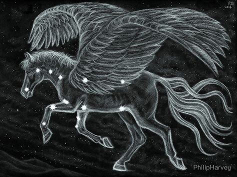 Pegasus Constellation, Pegasus Tattoo, Pegasus Art, Constellation Tattoo, Crop Pictures, Horse Inspiration, Horse Artwork, Constellation Tattoos, Tattoo Art Drawings