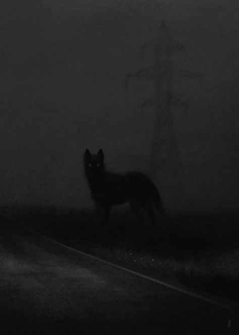 The Quarry Wallpaper, Scary Wolf, Werewolf Aesthetic, Shadow Wolf, Scary Dogs, Scary Animals, Wolf Wallpaper, Lone Wolf, Black Wolf