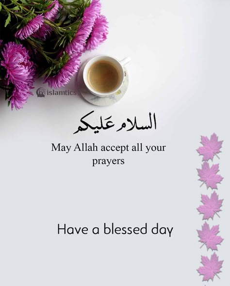 May Allah accept all your prayers Islamic Good Morning Quotes, Salaam Alaikum Quotes, Good Morning Islamic Quotes, Islamic Prayer Quotes, Positive Islamic Quotes, As Salaam Alaikum Images, Islamic Profile, Alvida Jumma Mubarak Quotes, Good Manners Quotes