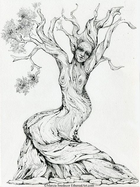 Roots Drawing, Drawing Trees, Landscape Pencil Drawings, Tree Tattoos, Juniper Tree, Tree Drawings Pencil, Twisted Tree, Tree Tattoo Designs, Family Tattoo