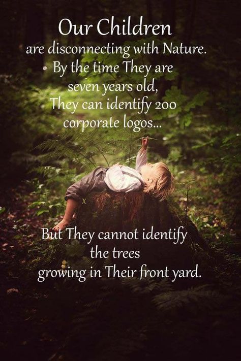 OUR CHILDREN ARE DISCONNECTING WITH NATURE. BY THE TIME THEY ARE SEVEN YEARS OLD, THEY CAN IDENTIFY 200 CORPORATE LOGOS Nature Deficit Disorder, Homeschool Quotes, Play Quotes, Intimate Questions, Nature School, Study Quotes, Garden Quotes, Quotes About Motherhood, Corporate Logo